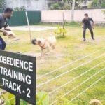 Bite Training