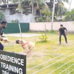 Bite Training