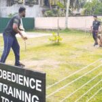 Bite Training