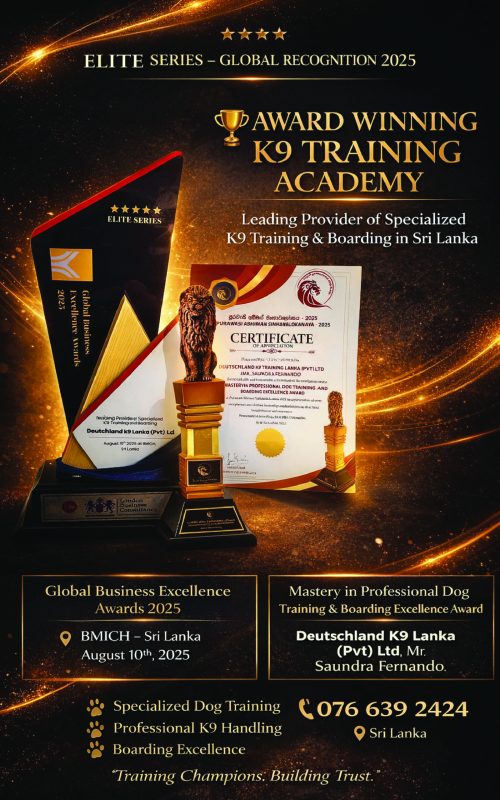 award 01